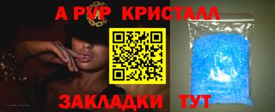 ECSTASY Гусев