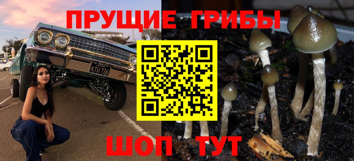 Галлюциногенные грибы GOLDEN TEACHER Люберцы