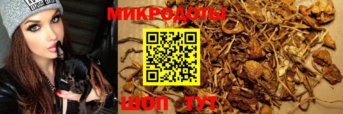 Люберцы  Галлюциногенные грибы Psilocybine cubensis  Вход с VPN 